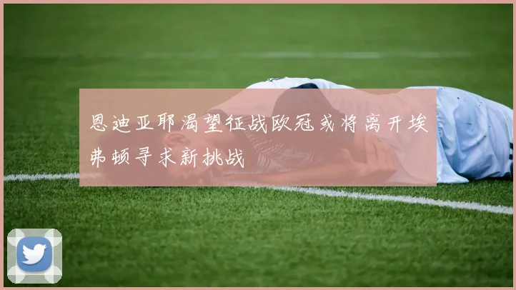 恩迪亚耶渴望征战欧冠或将离开埃弗顿寻求新挑战